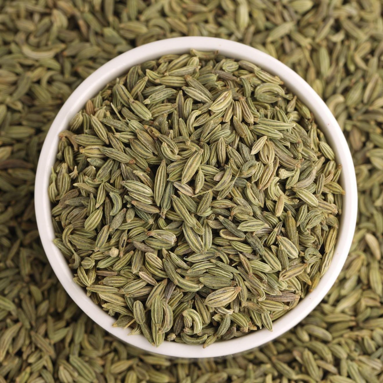 fennel-seed-indian-spicearranged-white-bowl-with-white-colored-backgroundclose-up_527904-3381